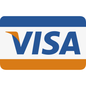 206684 visa method card payment icon