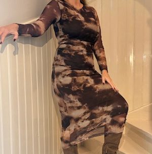Susan Mesh Dress